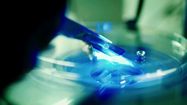 Errors Of The Human Body Bande-annonce VO