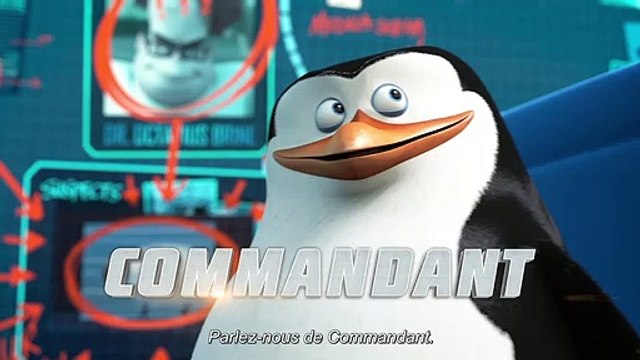 Les Pingouins de Madagascar - EXTRAIT VOST Extrait des animaux du zoo