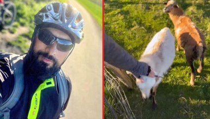 Megastar Tarkan, keçi yavrularını meleyerek çağırdığı anları paylaştı