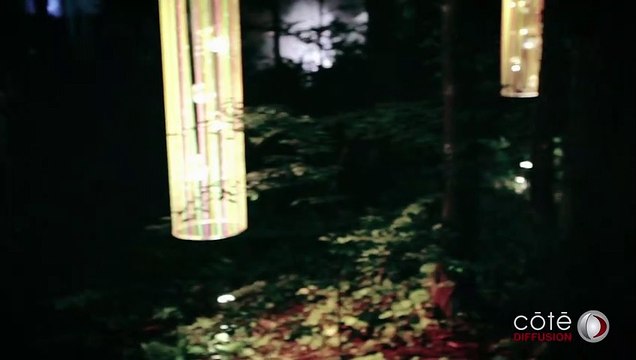 The Chemical Brothers: Don't Think Bande-annonce VO