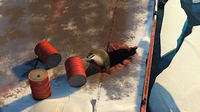 Les Pingouins de Madagascar - TEASER VF À la rencontre de Commandant