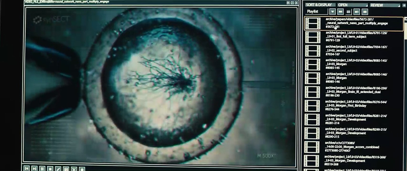 Morgane - EXTRAIT VF "La progression de Morgane"