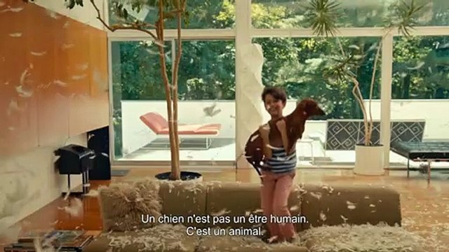 Todd Solondz : Je ne considère pas mon film comme choquant