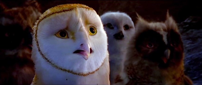 Le Royaume de Ga'Hoole - la légende des gardiens Extrait vidéo VF