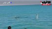 غواصون يتفقدون هيكل سفينة الوقود الغارقة قبالة تونس