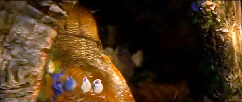 Le Royaume de Ga'Hoole - la légende des gardiens Extrait vidéo (3) VF