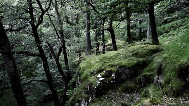 Lord of the dragons Bande-annonce VO