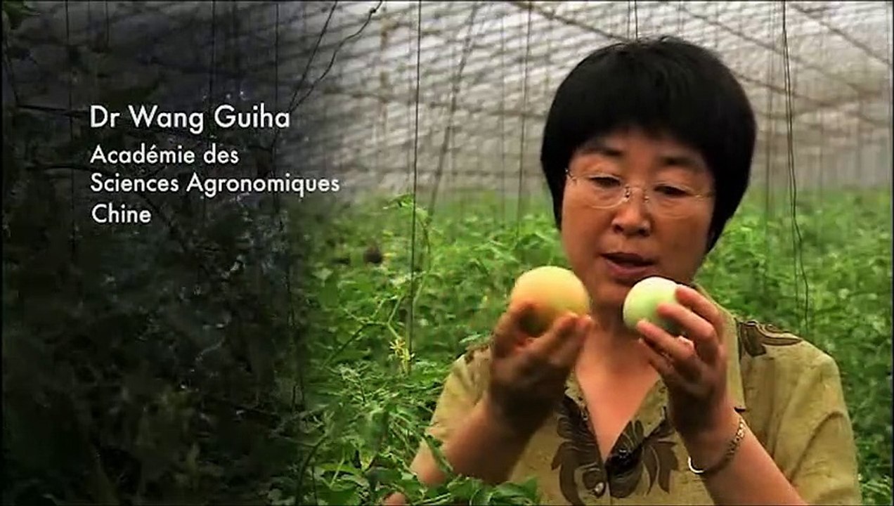 Water, le pouvoir secret de l’eau Bande-annonce VF