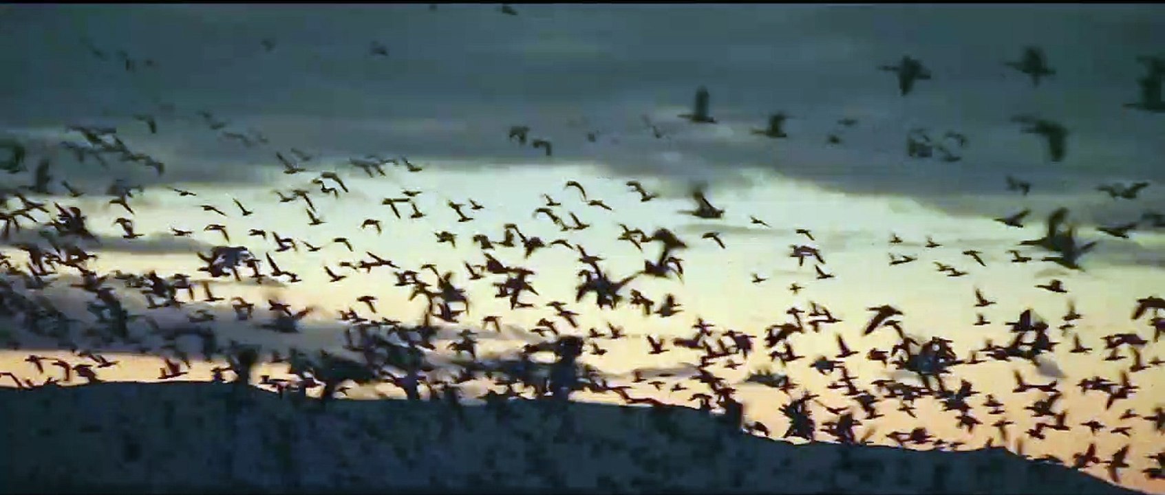 Final Hours Bande-annonce VF