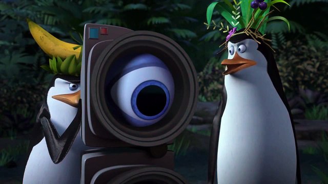 Les Pingouins de Madagascar - EXTRAIT VF La Diversion