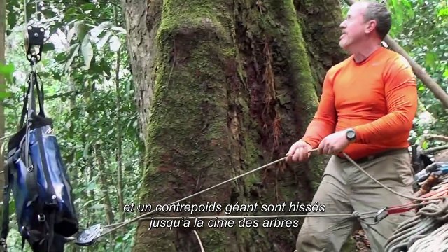 Nature - MAKING OF VOST Plongeon en forêt