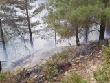 Son dakika gündem: Anamur'da ormanlık alanda çıkan yangın söndürüldü