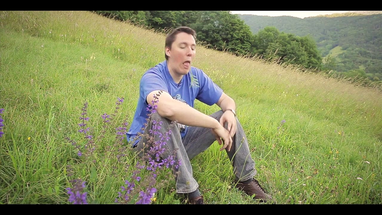 "Mon curé chez les nudistes" / "Mon curé chez les Thaïlandaises"