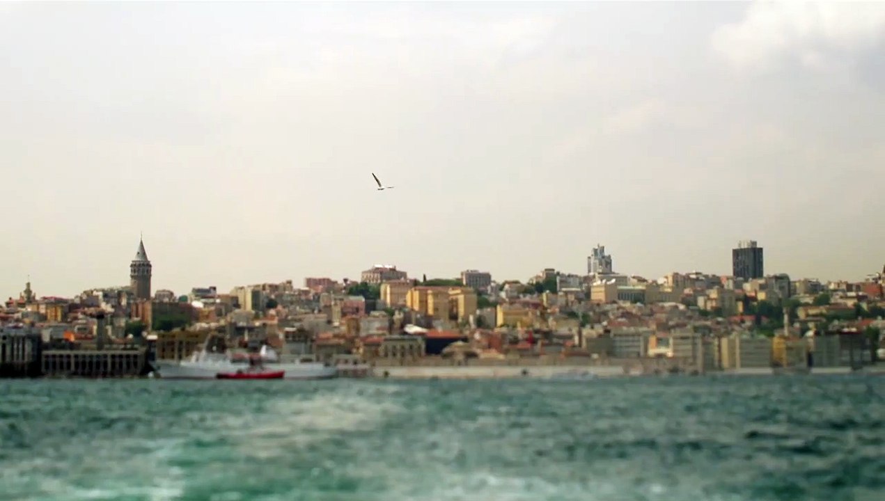 Kedi - Des chats et des hommes Teaser VF