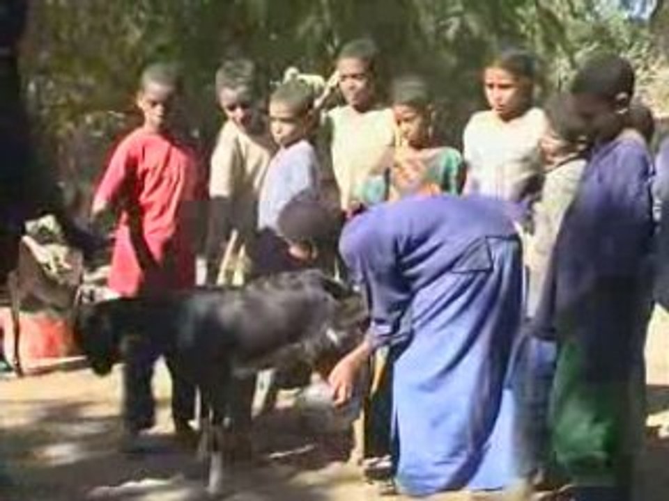 Cours d'ateliers pratiques pastoraux