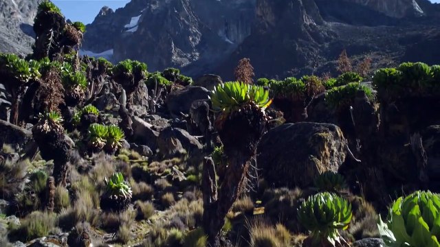 Nature - MAKING OF VOST Alerte en montagne