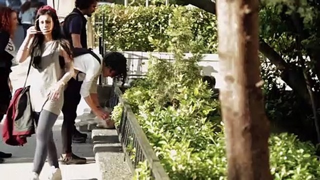 Kedi - Des chats et des hommes EXTRAIT VO Caresses