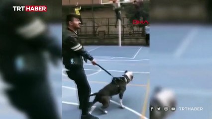 Pitbull'la şaka basketbol sahasındaki çocuklara dehşeti yaşattı