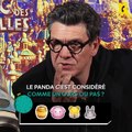 TOP PROMO : Marc Lavoine saura-t-il reconnaître ces films d'ours ?