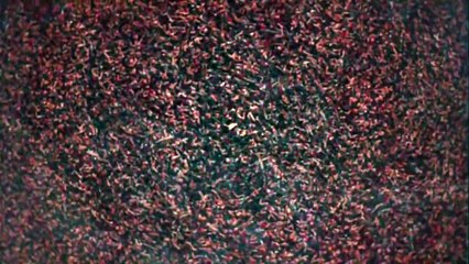 Dracula - saison 1 Teaser VO