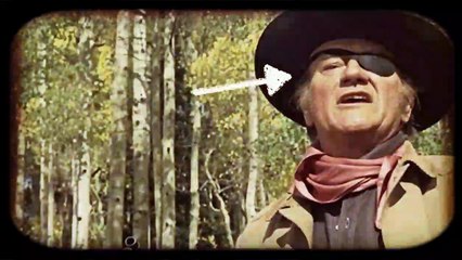 Aviez-vous remarqué ? True Grit