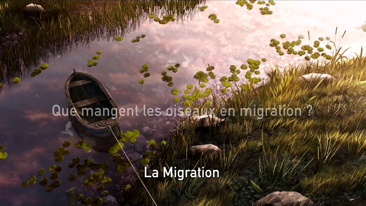 Gus - MAKING OF "Que mangent les oiseaux en migration ?"
