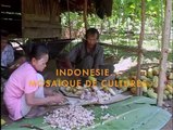 Indonesie - Aventures et rencontres Bande-annonce VF