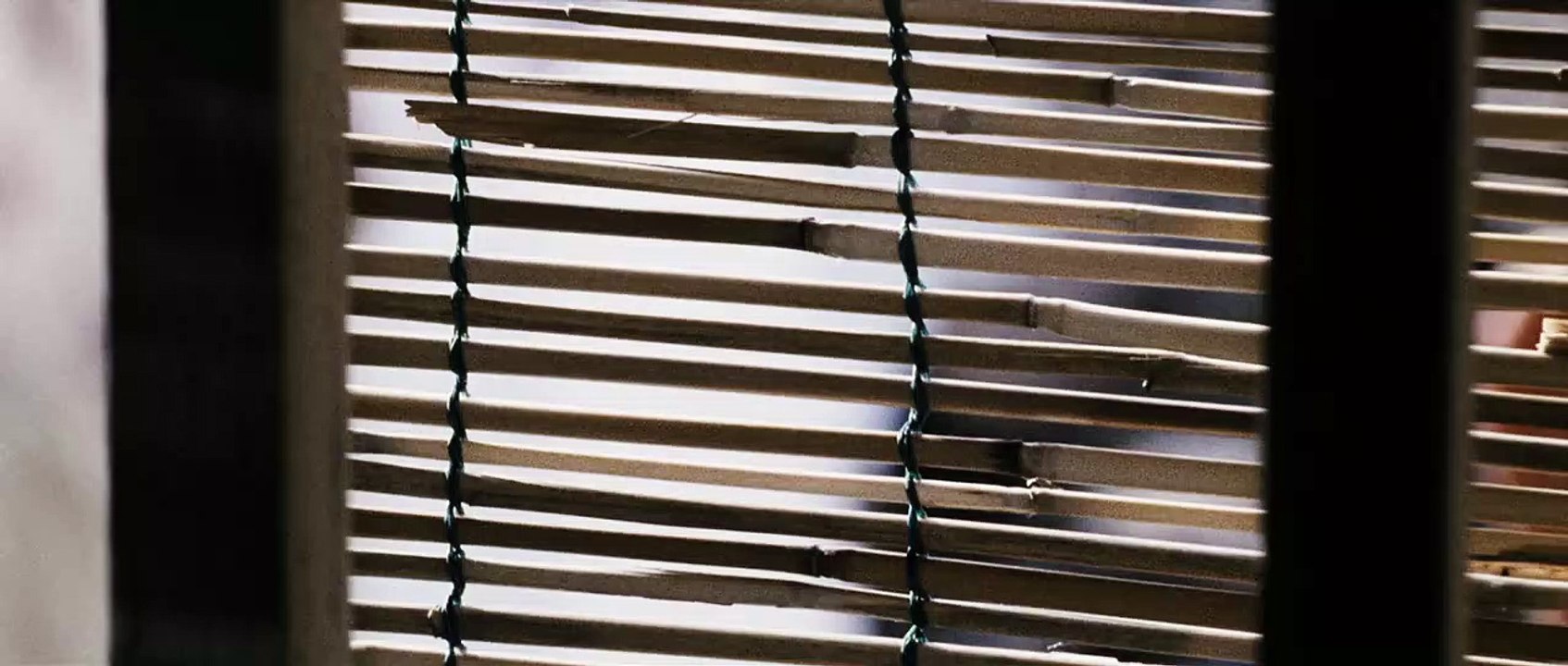 "Salvo" : la rencontre