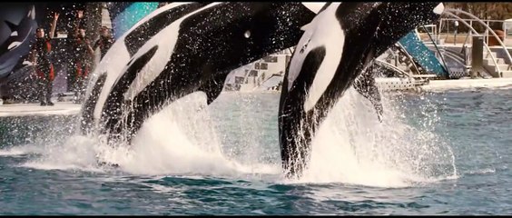 De rouille et d'os Bande-annonce US