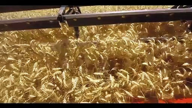 A Cure for Life Teaser VO