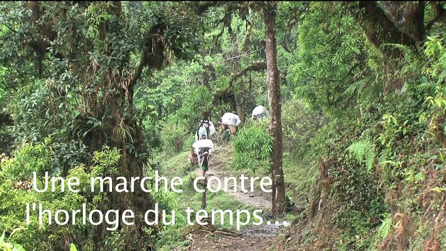 Népal - Mustang - Royaumes perdus de l'Himalaya Bande-annonce VF