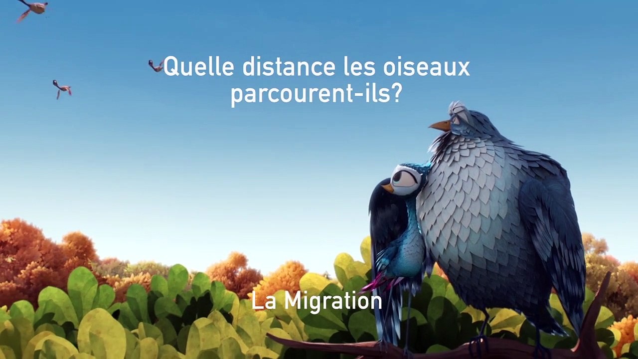 Gus - MAKING OF "Quelle distance les oiseaux parcourent-ils ?"