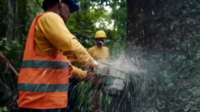 When Two Worlds Collide Bande-annonce VO