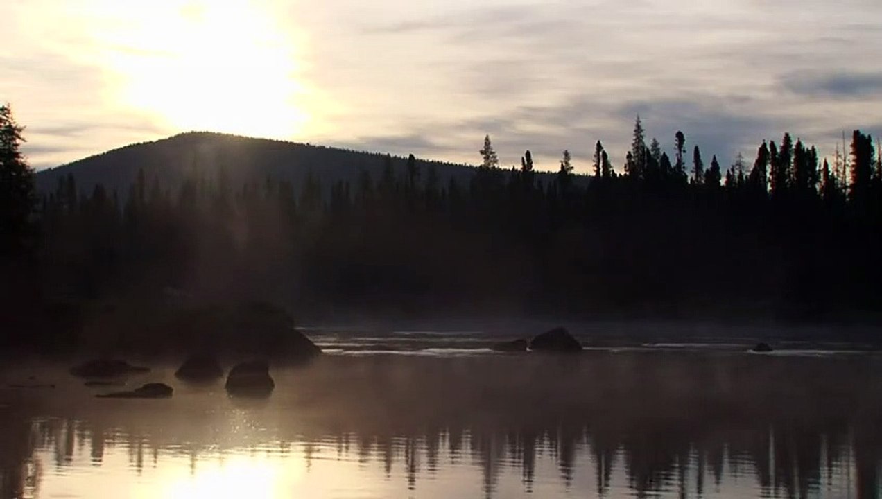 Chercher le courant Extrait vidéo VF