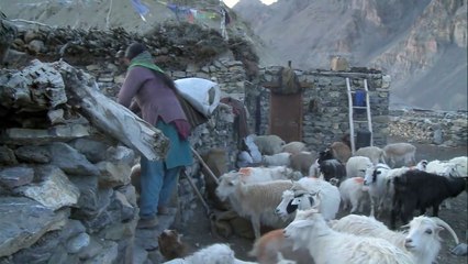 La Nuit Nomade Extrait vidéo (3) VO