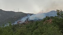 Bodrum'da ormanlık ve makilik alanda çıkan yangın kontrol altına alındı (2)