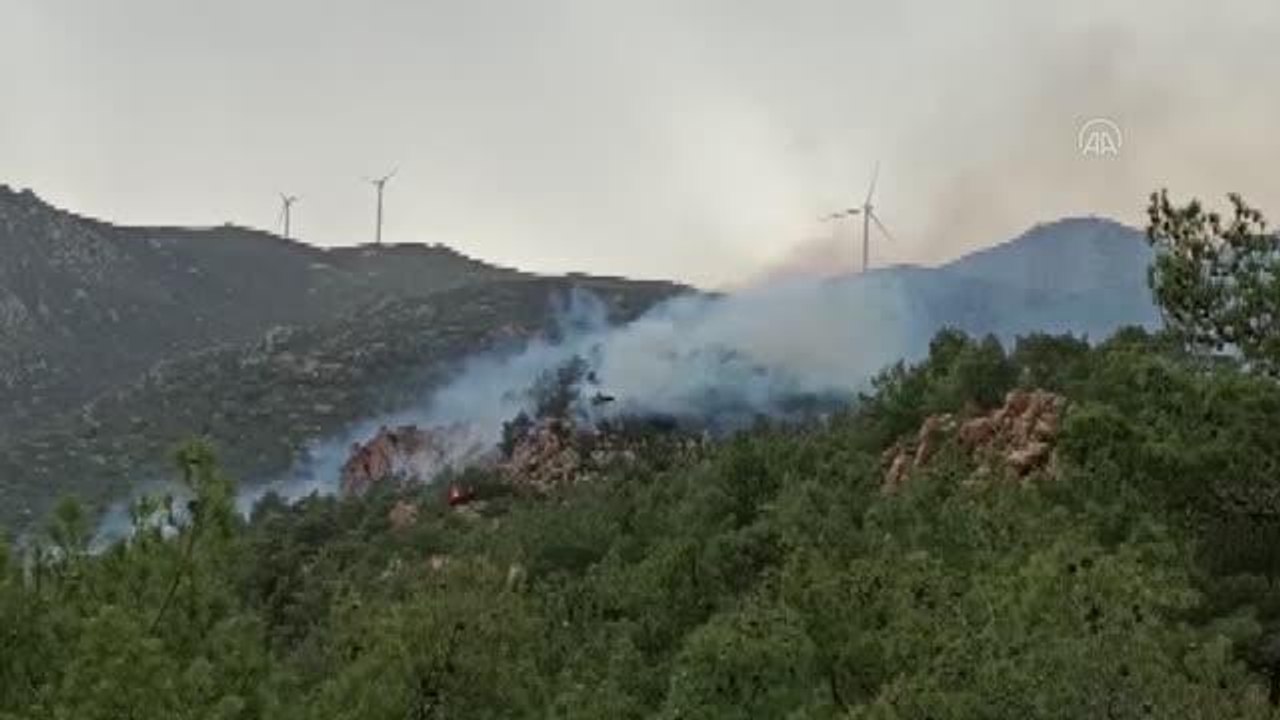 Bodrum'da ormanlık ve makilik alanda çıkan yangın kontrol altına alındı (2)