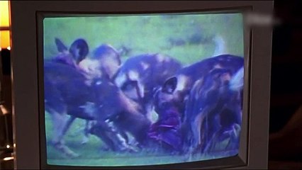 Les gaffes de Buffy saison 1