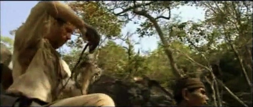 Deux frères Bande-annonce VF