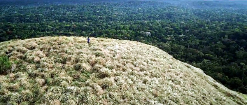 Il était une forêt Extrait vidéo VF