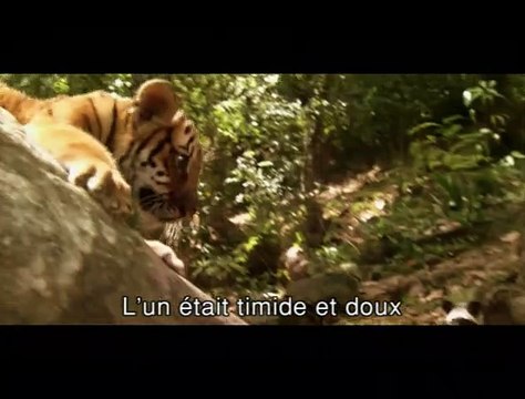 Deux frères Bande-annonce VO