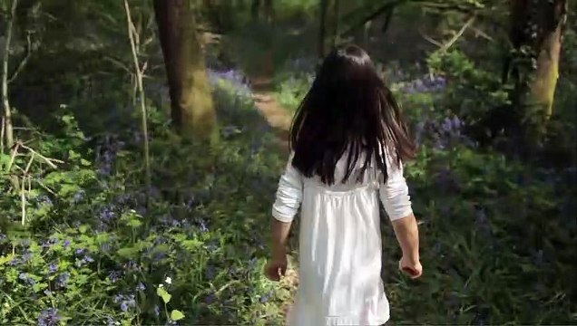 Compostelle, le chemin de la vie Bande-annonce VF