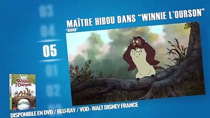 Les hiboux et les chouettes