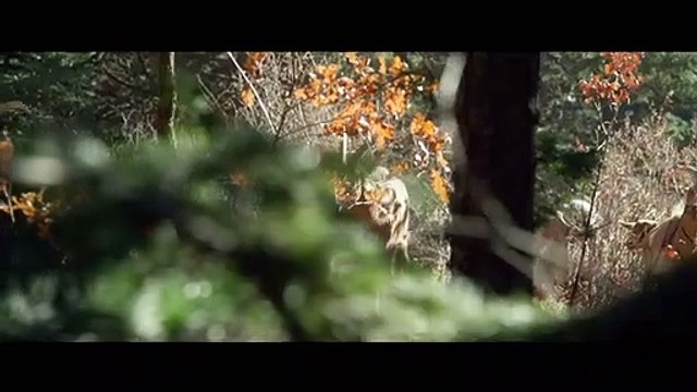 Du sang et des larmes Bande-annonce VO