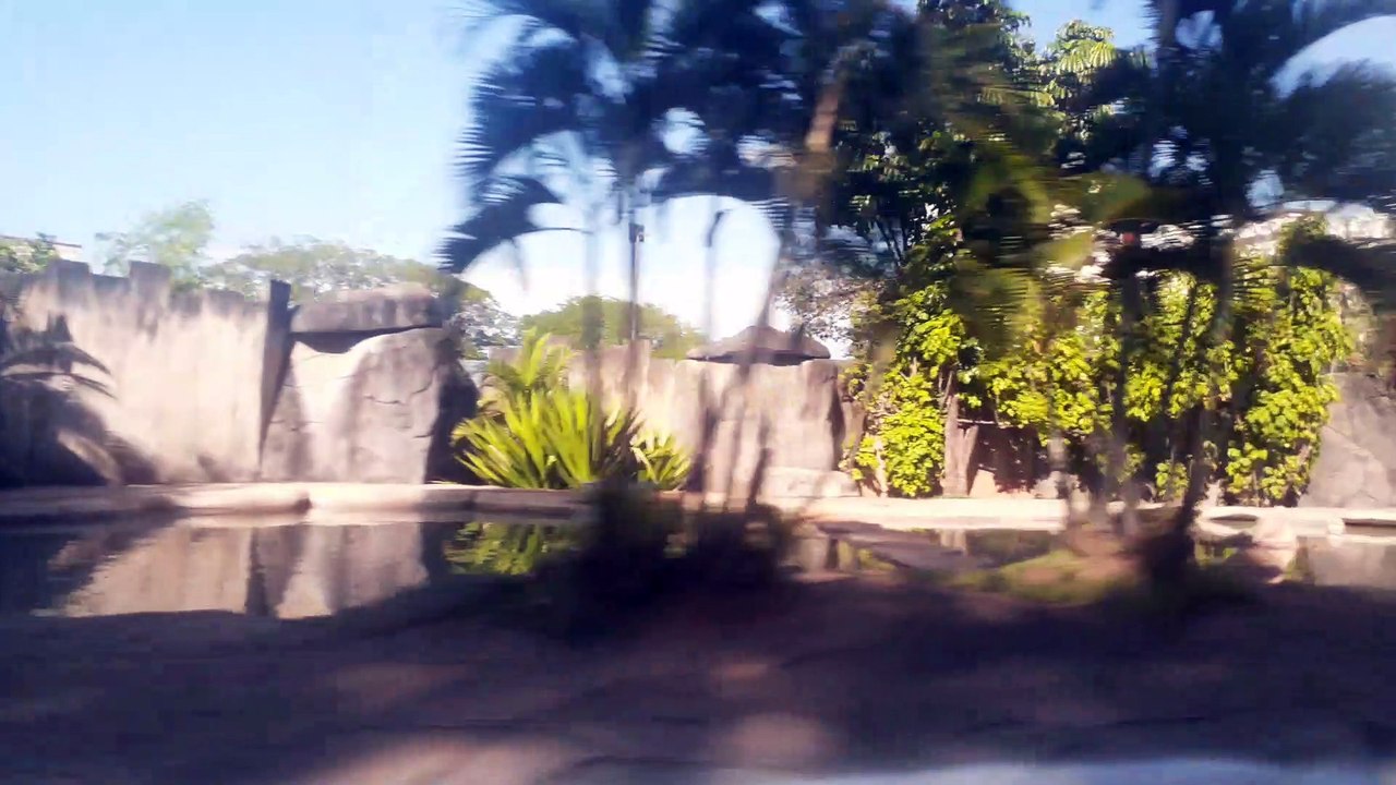 Um passeio pelas ruas de Caldas Novas