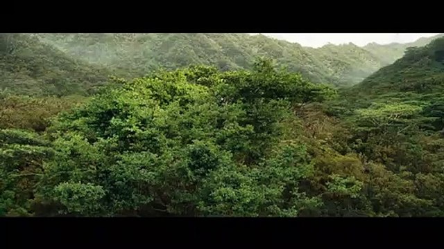 Hunger Games - L'embrasement Bande-annonce (3) VF