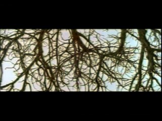 Little Senegal Teaser VO