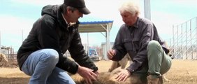 Le Dernier Loup - BONUS VOST 'Dans les coulisses : les loups sur le tournage