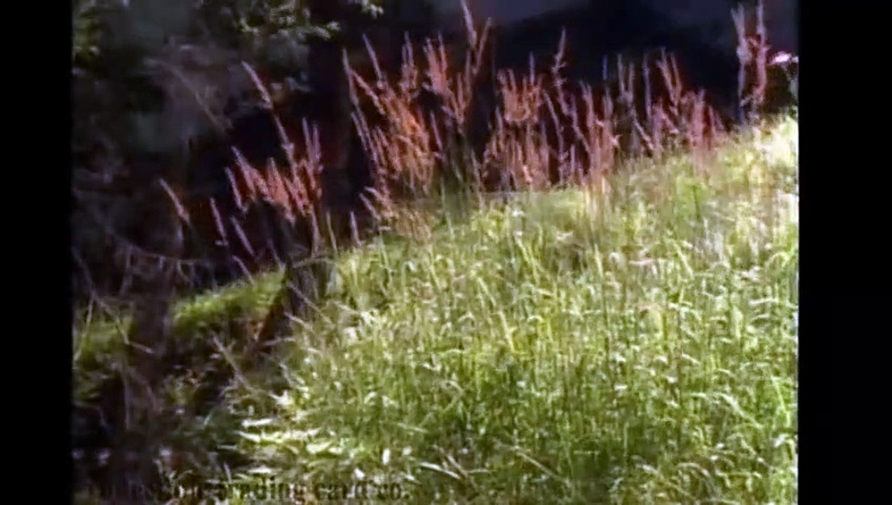 Histoires de l'autre monde Extrait vidéo VO