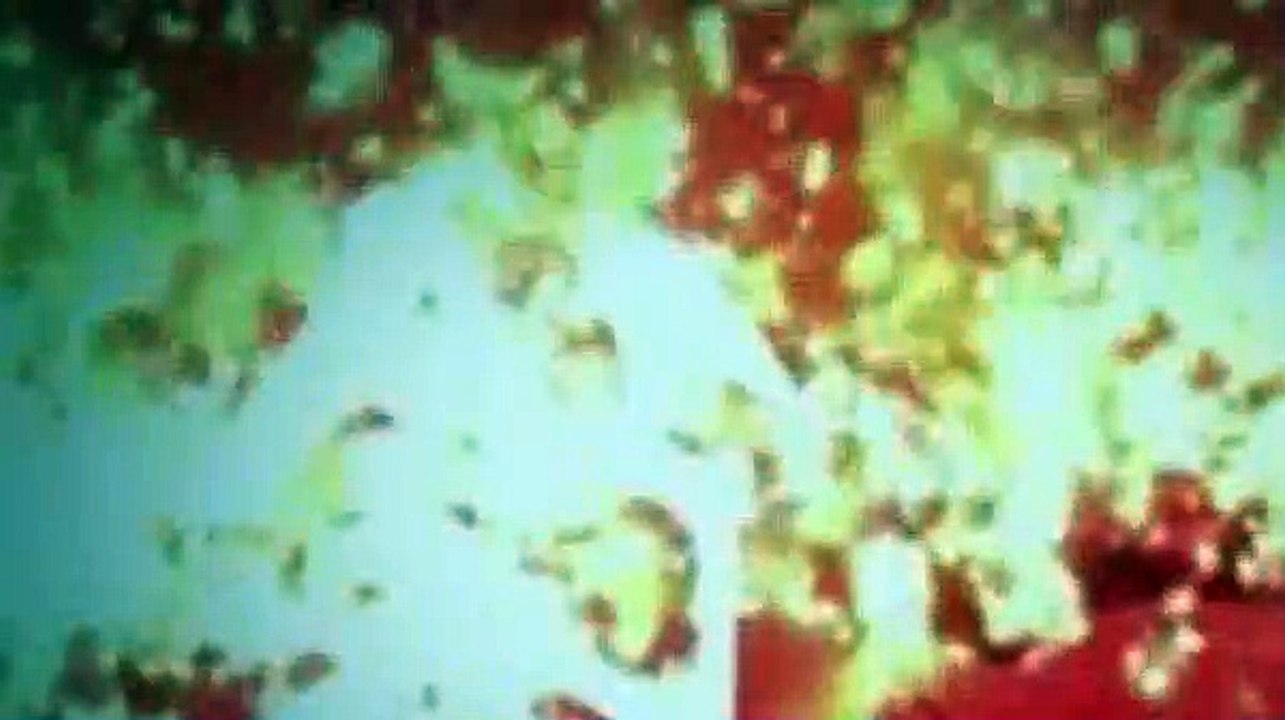 Twin Star Exorcists Season 1 Episode 12 Give Me a Break  Basara Boy Kamui - (English DUB)